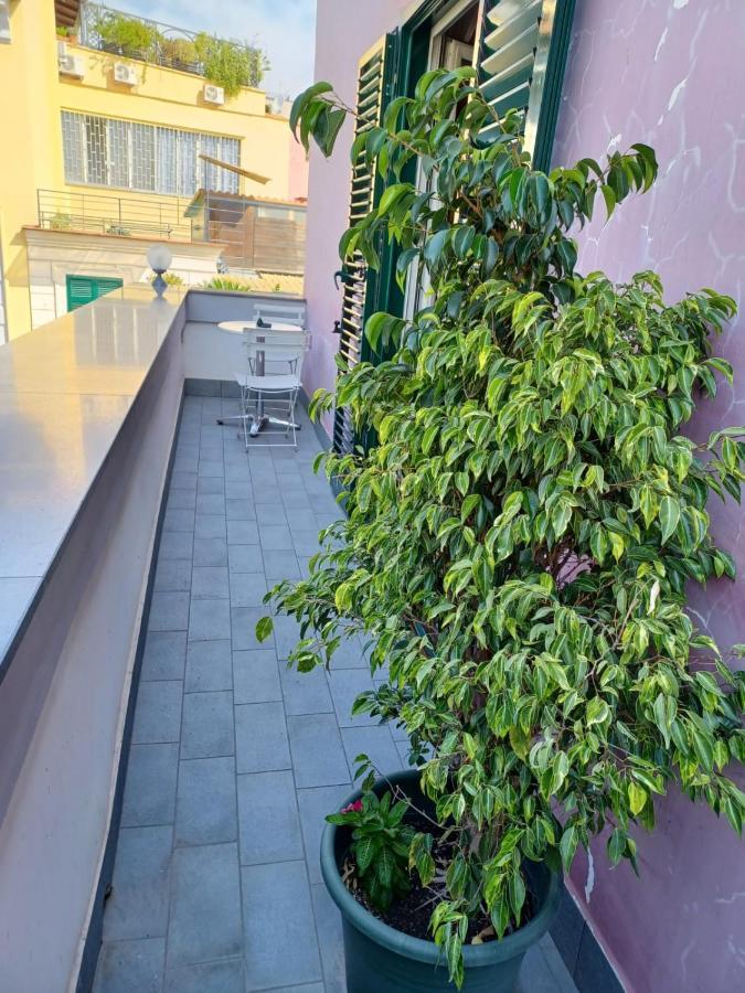 费德里克二世住宿加早餐旅馆 那不勒斯 外观 照片